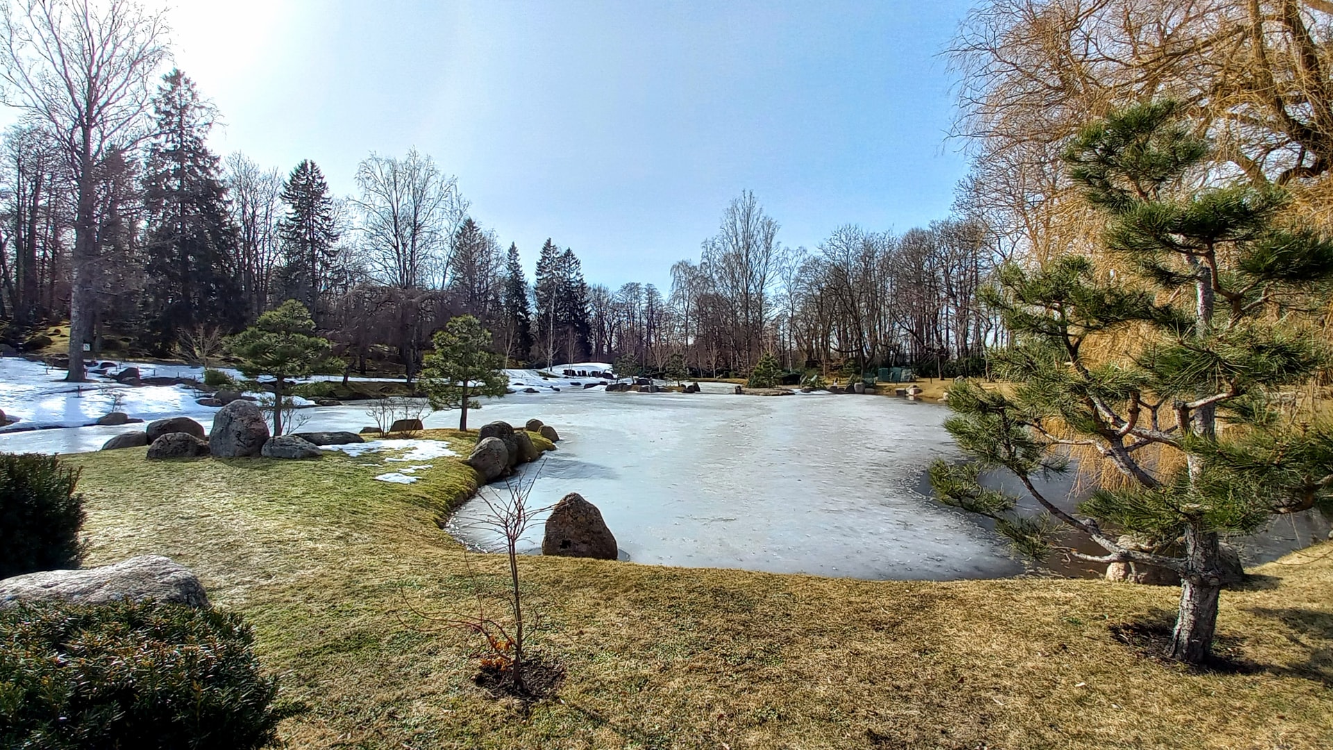 Taman Jepang di musim semi.