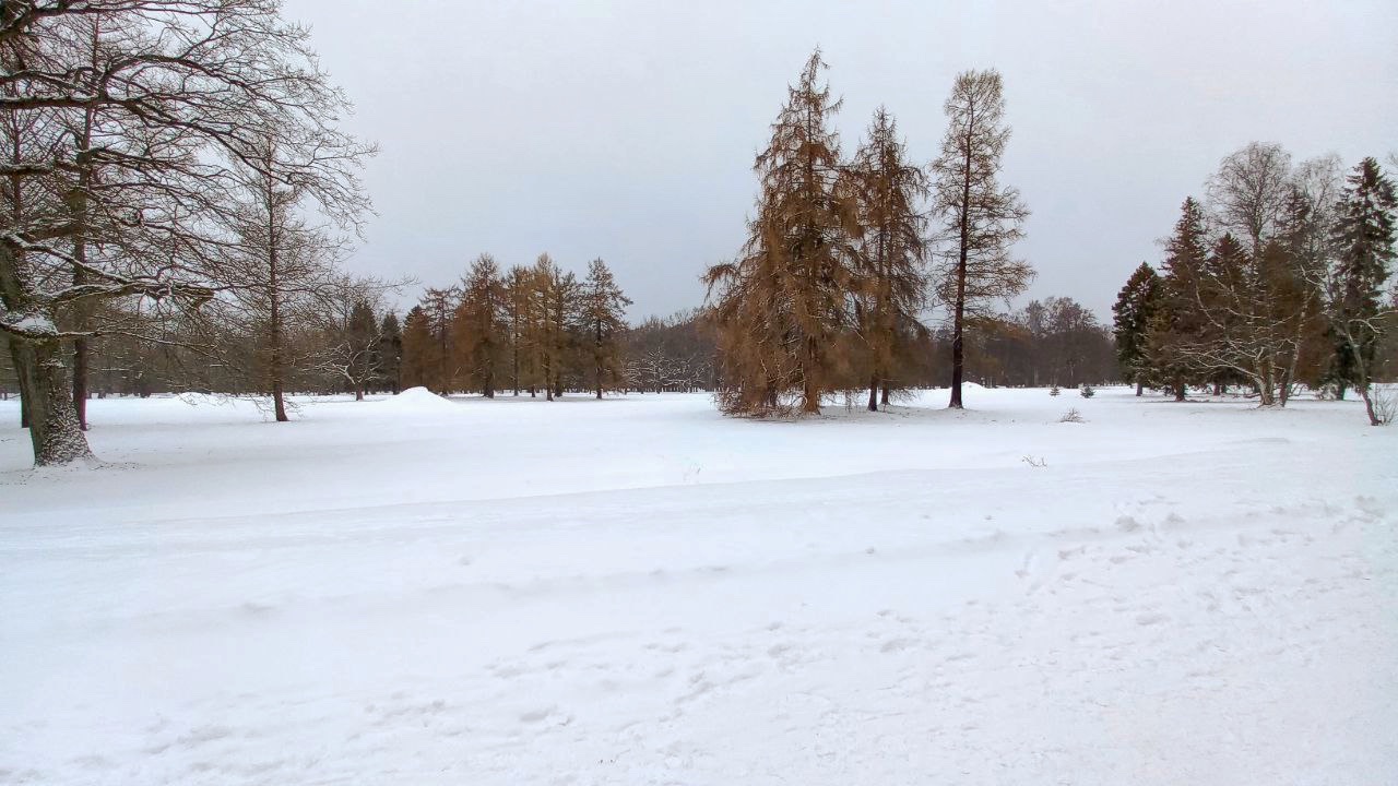 suasana musim gugur di Estonia