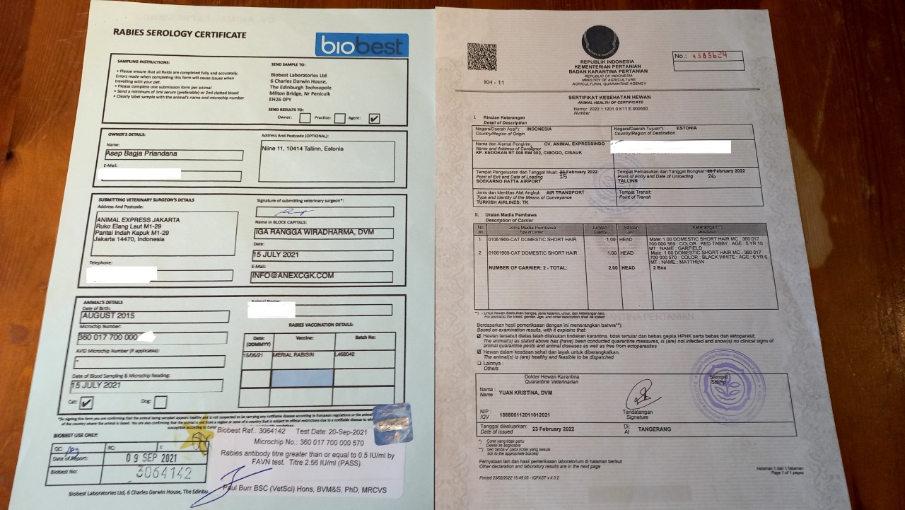 The health certificate and rabies test document.