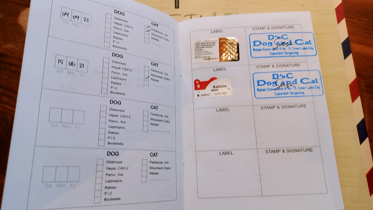 Rabies vaccination and other supporting vaccination certificates.